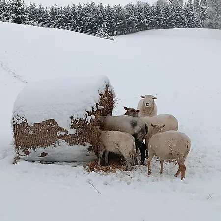 Na Vejminku Rtyne v Podkrkonosi
