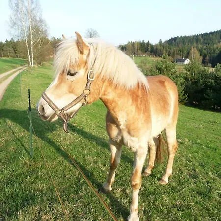 Na Vejminku * Rtyne v Podkrkonosi