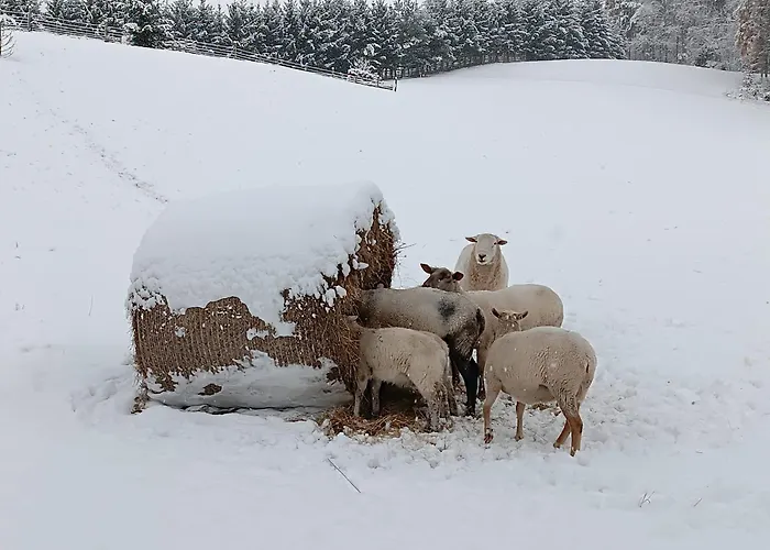 Na Vejminku Rtyne v Podkrkonosi