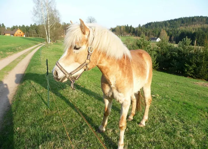 Na Vejminku * Rtyne v Podkrkonosi